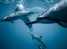 kaiyun：开启云端生活的新纪元